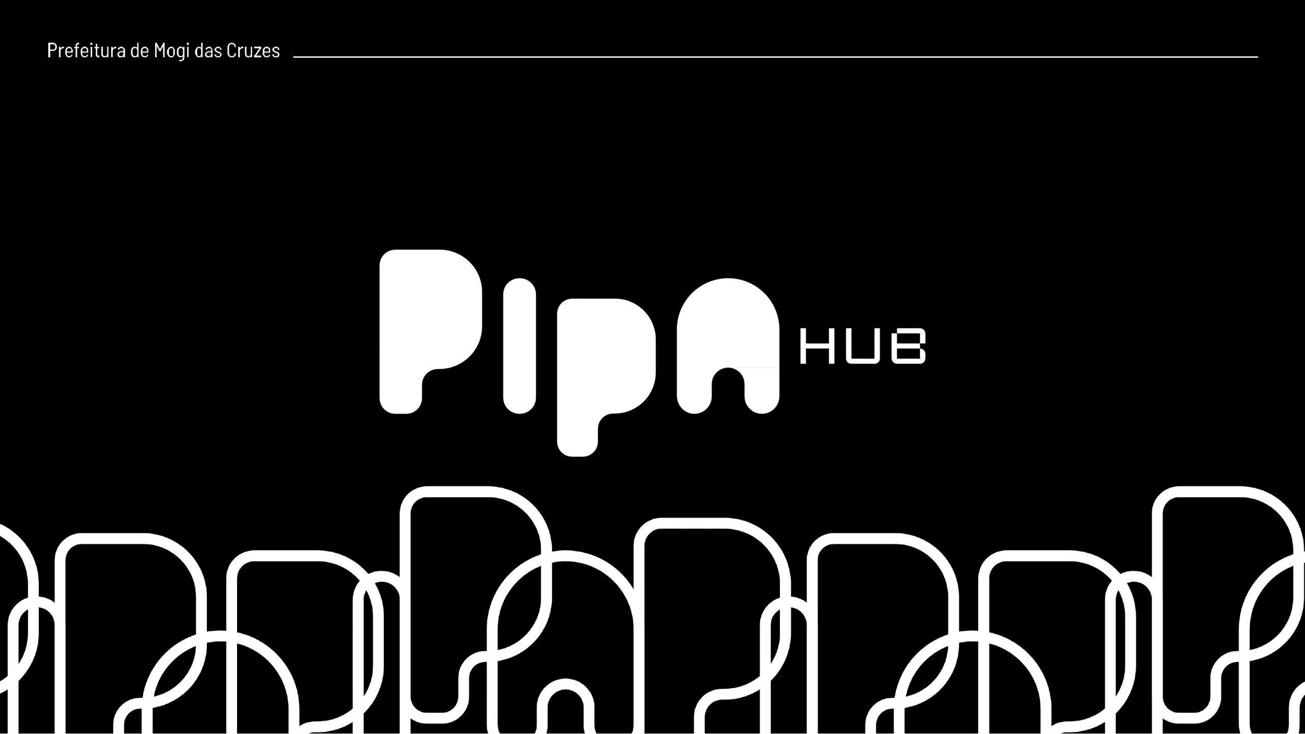 Apresentação Final PIPA HUB 2024_page-0001